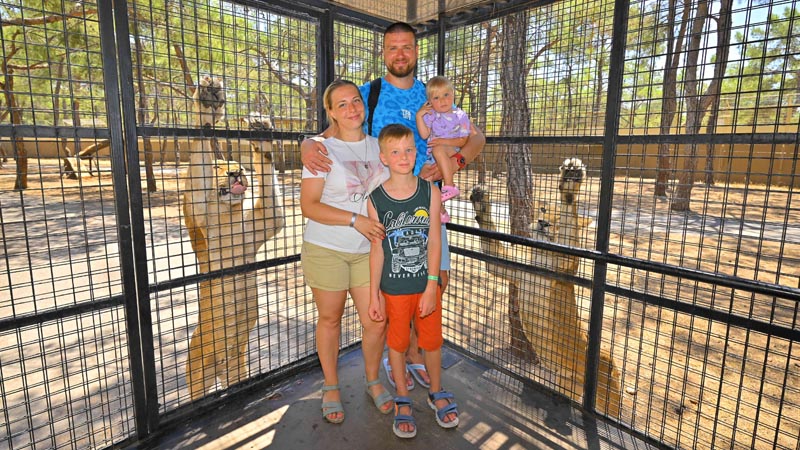 lion safari in antalya