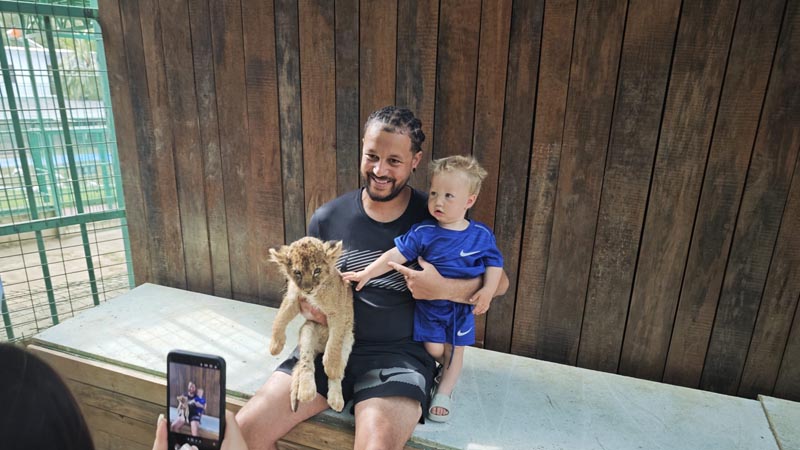 antalya baby lions