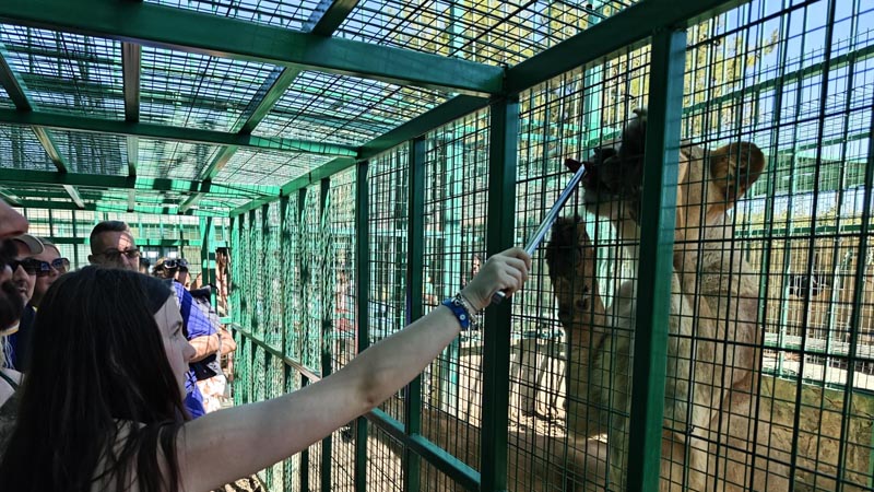 lion park antalya